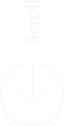 스크롤